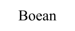 Boean Official Website – High-Quality Bluetooth Headphones & Wireless Earbuds